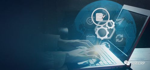 玩轉(zhuǎn)erp 如果要做一個(gè)開發(fā)顧問(wèn)